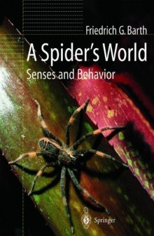 A Spider's World: Senses and Behavior