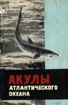 Акулы Атлантического океана (промысел и пищевая продукция)