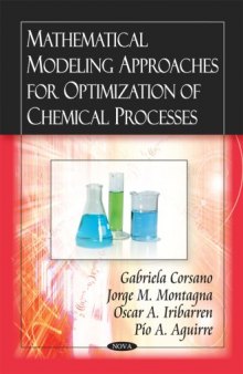 Mathematical Modeling Approaches for Optimization of Chemical Processes