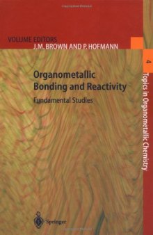 Organometallic Bonding and Reactivity (Topics in Organometallic Chemistry Volume 4)