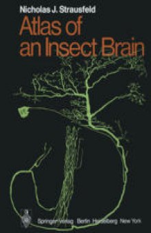 Atlas of an Insect Brain