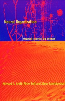 Neural organization: structure, function, and dynamics