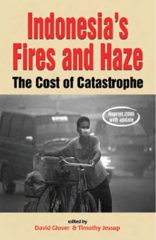Indonesia's fires and haze: The cost of catastrophe