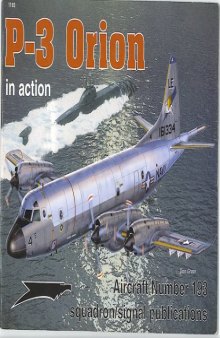 P-3 Orion In Action