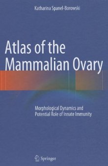 Atlas of the Mammalian Ovary: Morphological Dynamics and Potential Role of Innate Immunity