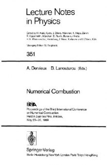 Numerical Combustion