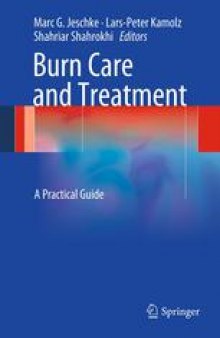 Burn Care and Treatment: A Practical Guide