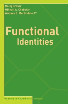 Functional Identities (Frontiers in Mathematics)