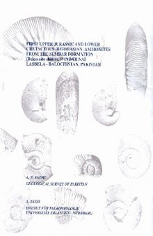 First Upper Jurassic and Lower Cretaceous (Berriasian) ammonites from the Senbar Formation (Belemnite Schales), Windar Nai Lasbela – Balochistan, Pakistan