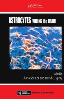Astrocytes : Wiring the Brain