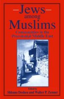 Jews among Muslims: Communities in the Precolonial Middle East