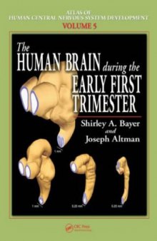 The Human Brain During the Early First Trimester (Atlas of Human Central Nervous System Development)