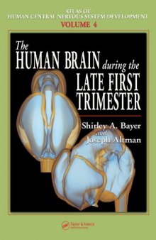 The Human Brain During the Late First Trimester (Atlas of Human Central Nervous System Development, Volume 4)