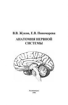 Анатомия нервной системы: Учебное пособие