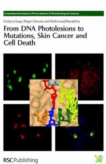 From DNA photolesions to mutations, skin cancer and cell death