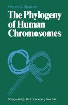 The Phylogeny of Human Chromosomes