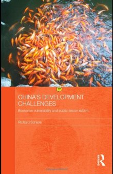 China's Development Challenges: Economic Vulnerability and Public Sector Reform (Routledge Studies on the Chinese Economy)  