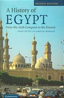 A history of Egypt : from the Arab conquest to the present