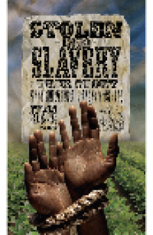 Stolen into Slavery. The True Story of Solomon Northup, Free Black Man