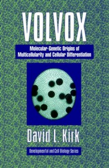 Volvox: A Search for the Molecular and Genetic Origins of Multicellularity and Cellular Differentiation 