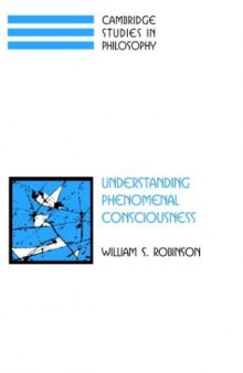 Understanding Phenomenal Consciousness (Cambridge Studies in Philosophy)