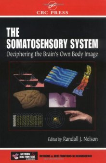The somatosensory system