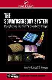 The somatosensory system: deciphering the brain's own body image