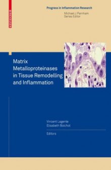 Matrix Metalloproteinases in Tissue Remodelling and Inflammation (Progress in Inflammation Research)