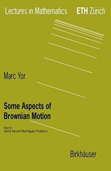 Some Aspects of Brownian Motion : Part II: Some Recent Martingale Problems