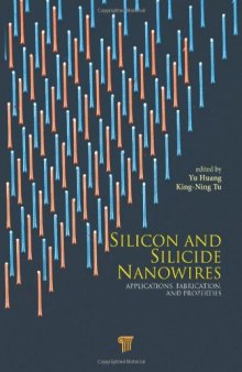 Silicon and Silicide Nanowires: Applications, Fabrication, and Properties