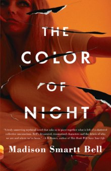 The Color of Night (Vintage Contemporaries)