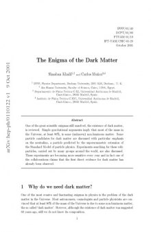 The enigma of the dark matter