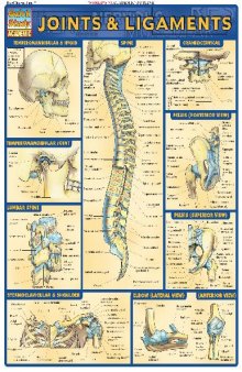 BarCharts QuickStudy Joints & Ligaments