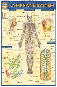 BarCharts QuickStudy Lymphatic System
