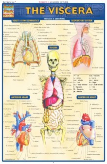 Viscera Laminated Reference Guide (Quickstudy: Academic)