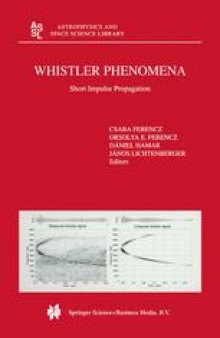 Whistler Phenomena: Short Impulse Propagation