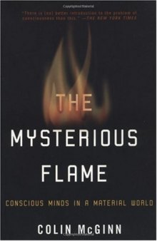 The Mysterious Flame: Conscious Minds In A Material World