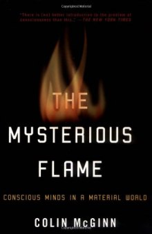 The Mysterious Flame: Conscious Minds In A Material World  