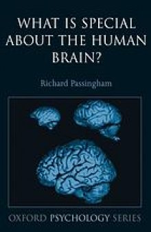 What is special about the human brain?