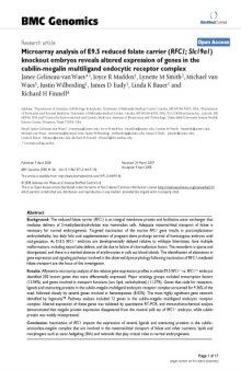 Microarray analysis of E9.5 reduced folate carrier (RFC1; Slc19a1) knockout embryos reveals altered expression of genes in the cubilin-megalin multiligand endocytic receptor complex