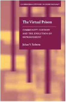 The Virtual Prison: Community Custody and the Evolution of Imprisonment (Cambridge Studies in Criminology)