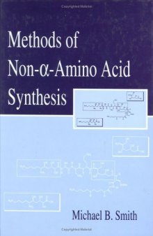 Methods of Non--Amino Acid Synthesis