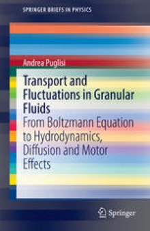 Transport and Fluctuations in Granular Fluids: From Boltzmann Equation to Hydrodynamics, Diffusion and Motor Effects