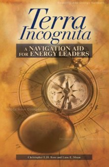 Terra incognita : a navigation aid for energy leaders