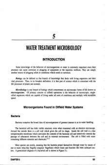 Water treatment and pathogen control : process efficiency in achieving safe drinking-water
