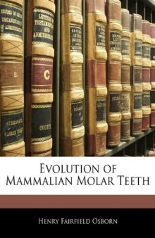 Evolution of Mammalian Molar Teeth  