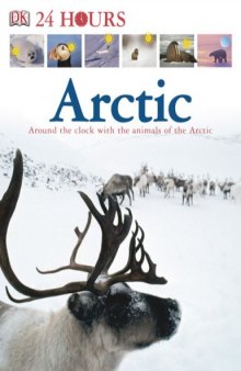 Arctic (DK 24 HOURS)