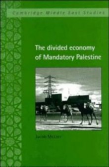The Divided Economy of Mandatory Palestine (Cambridge Middle East Studies)