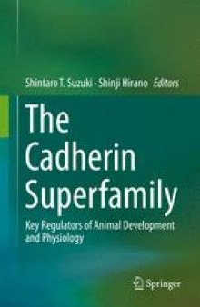 The Cadherin Superfamily: Key Regulators of Animal Development and Physiology