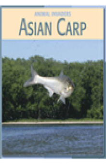 Asian Carp